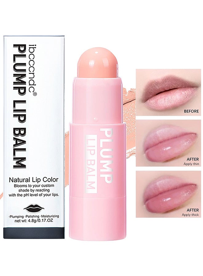 Plump Lip Lip Blender, مرطب الشفاه الملون، أحمر شفاه مرطب للنساء، بلسم ملون للشفاه، تفتيح الشفاه للشفاه الداكنة، مرطب ملون للشفاه، يقلل من تجاعيد الشفاه، تركيبة غير لزجة