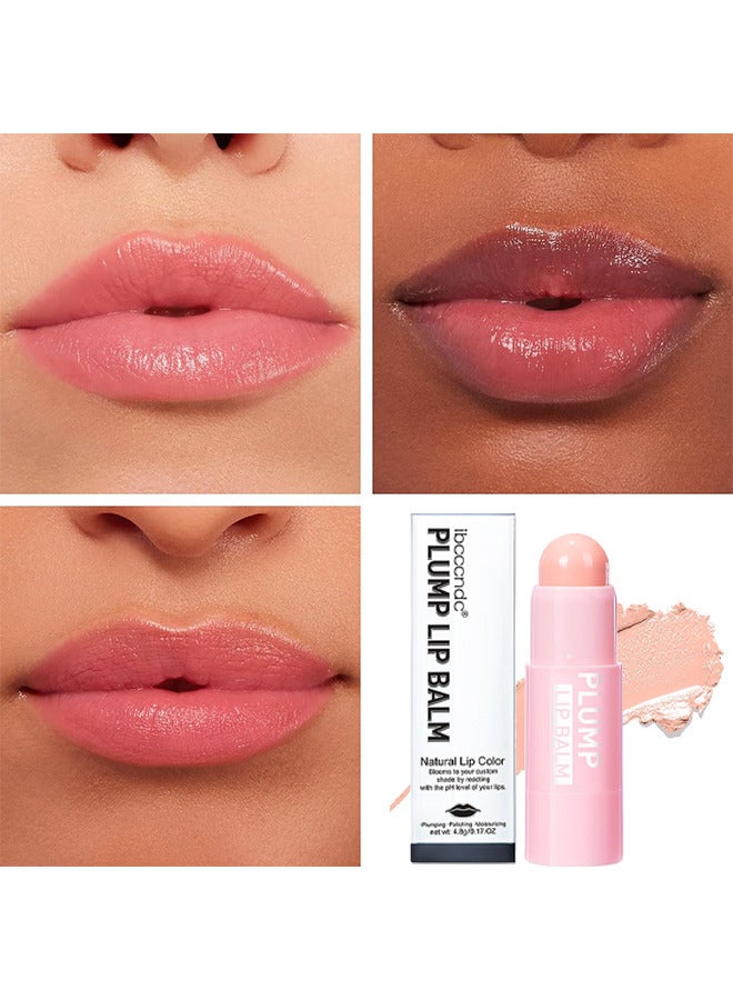 Plump Lip Lip Blender, مرطب الشفاه الملون، أحمر شفاه مرطب للنساء، بلسم ملون للشفاه، تفتيح الشفاه للشفاه الداكنة، مرطب ملون للشفاه، يقلل من تجاعيد الشفاه، تركيبة غير لزجة