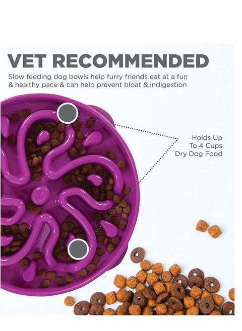 Slow Feeder Fun Feeder Dog Bowl Without Suffocation Slow Feeder Expansion Stop Dog Food Water Bowl With Interesting Pattern (Purple)