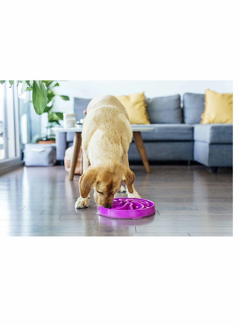 SYOSI - Slow Feeder Fun Feeder Dog Bowl Without Suffocation Slow Feeder Expansion Stop Dog Food Water Bowl With Interesting Pattern (Purple) - Image 1