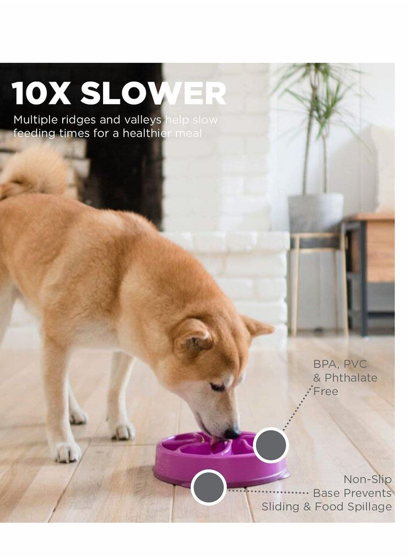 SYOSI - Slow Feeder Fun Feeder Dog Bowl Without Suffocation Slow Feeder Expansion Stop Dog Food Water Bowl With Interesting Pattern (Purple) - Image 1