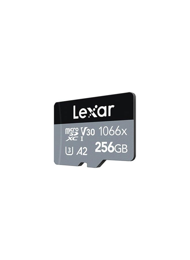 Lexar - 256GB Professional 1066x micro SD Card w/ SD Adapter, UHS-I, U3, V30, A2, Full HD, 4K, Up to 160/120 MB/s, for Action Cameras, Drones, Smartphones, Tablets, Nintendo-Switch (LMS1066256G-BNANU) - Image 1