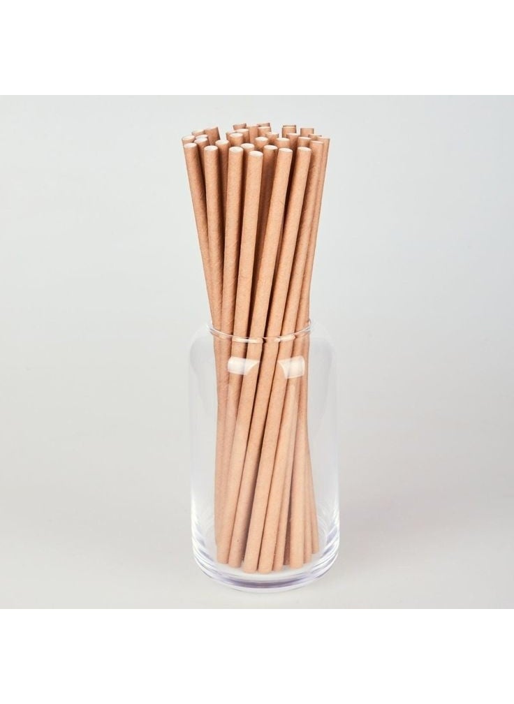 Kraft Frozen Paper Straws 8 mm x 19.7 cm (20 Pcs)  - Image 2