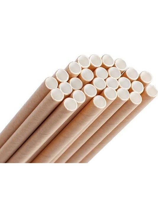 Kraft Frozen Paper Straws 8 mm x 19.7 cm (20 Pcs)  - Image 1