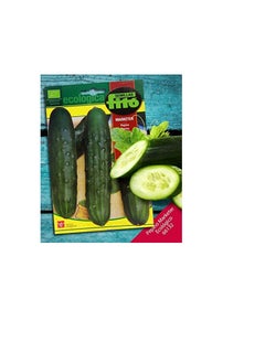 Fito Ecologica Cucumber Organic Seeds