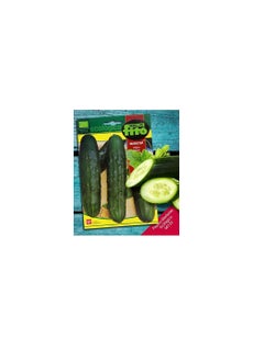 Fito Fito Ecologica Cucumber Organic Seeds  - Image 3