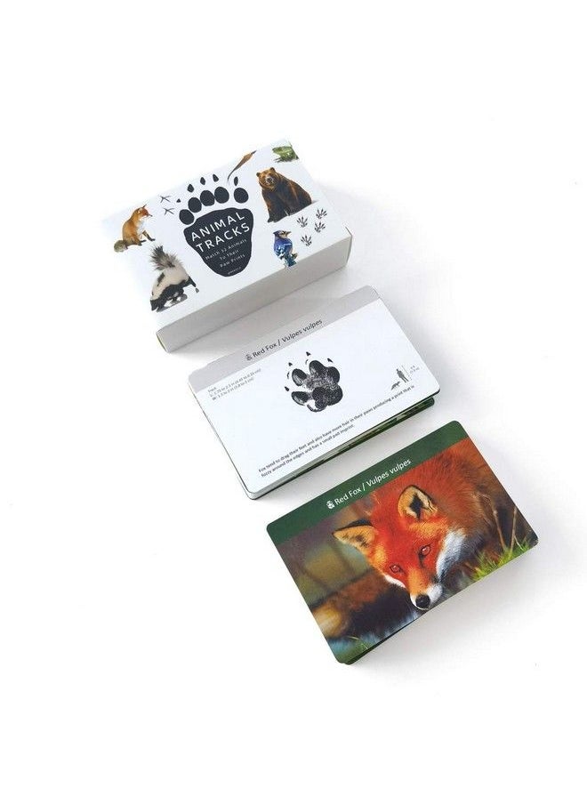 Forest Animal Track Game Flash Cards - pzsku/Z7EE23680D456AFCAB4DEZ/45/_/1692170519/dbacc158-c037-4a8d-9313-3f648f2ddc58