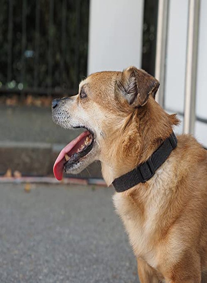 PENSEEPET Dog Collar Black Basic Adjustable Dog Collars with Breathable Quick Release Nylon Pet Collar for Puppy Small Medium Large Dogs Boy - Image 2