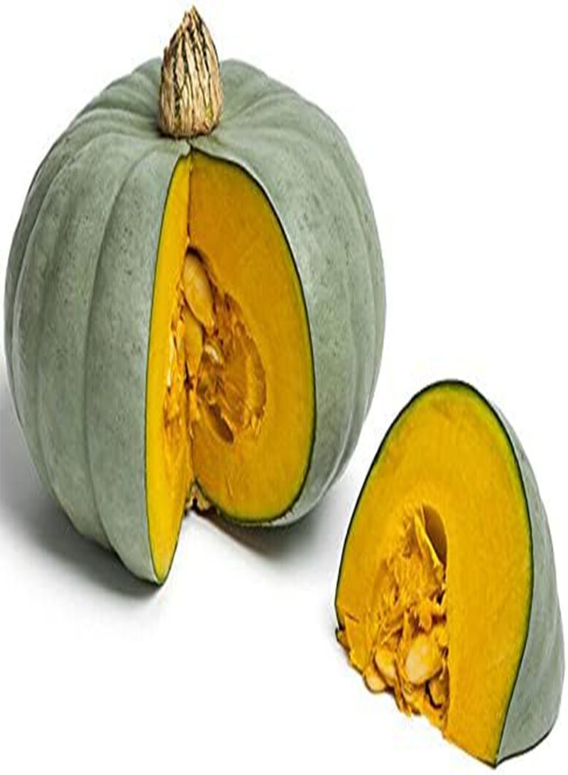 GGOOT Vegetable - Squash - Winter Crown Prince F1 - 5 Seeds - First Class - Image 1