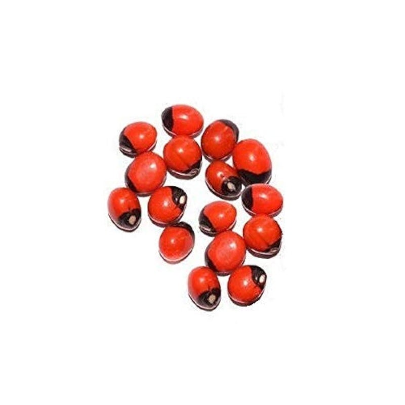 Astrodidi Red Gunja Seeds/Laal Chirmi Beej for Maa Lakshmi Pooja (51 Pieces) - Image 3