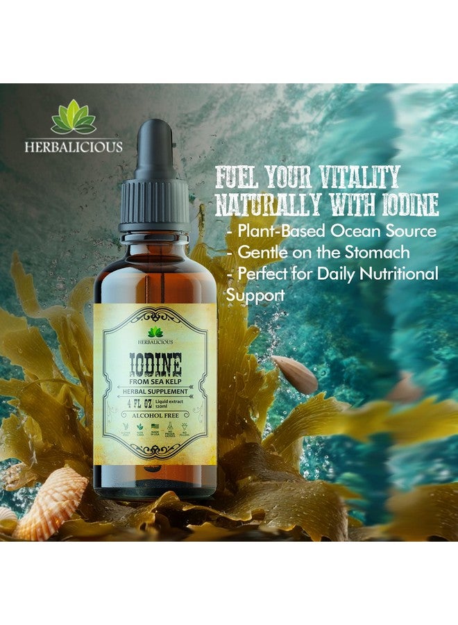 HERBALICIOUS قطرات اليود - سائل يود طبيعي من الطحالب البحرية - مكمل للغدة الدرقية للطاقة والهضم ودعم المناعة - تركيبة عضوية غير معدلة وراثيًا - 4 أونصة سائلة - Image 3