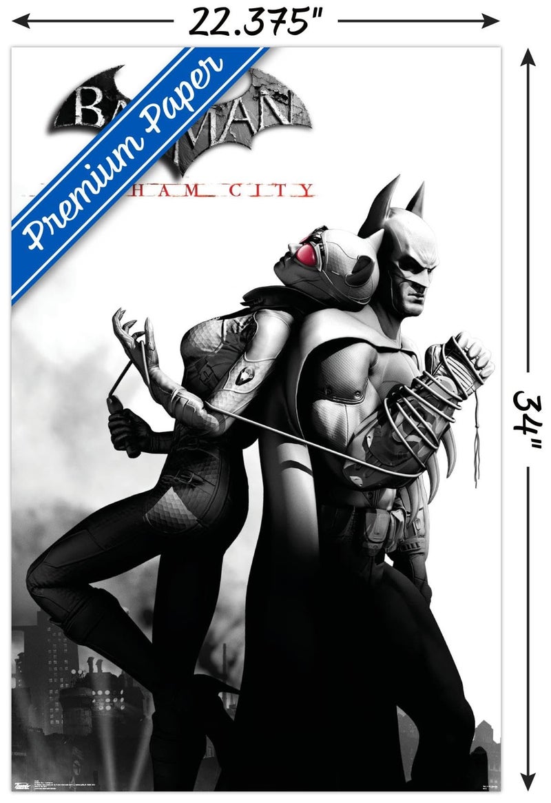 Trends International DC Comics VIdeo Game - Arkham City - Catwoman Wall Poster, 22.375" x 34", Premium Unframed Version - Image 3