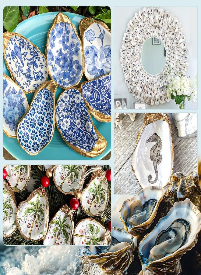 QICQDRAM 20PCS Flat Oyster Shells 2"-3" Small Oyster Shells for Crafts Natural Oyster Shells Bulk, for Home Vase Filler, Xmas Ornaments, DIY Arts and Crafts Sea Shells - Image 5