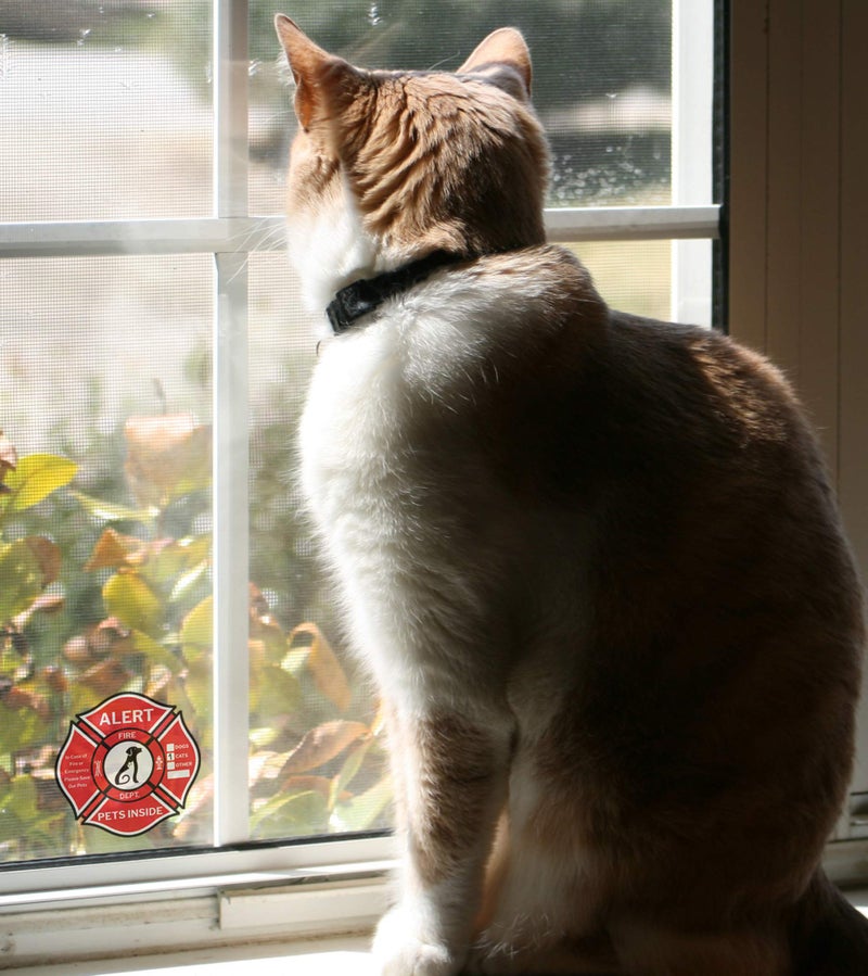 CLEVER SIGNS Pet Alert Sticker - Double-Sided 10 Decals  Rescue Pet Decals for Home Windows & Doors - UV Resistant & Waterproof  - Image 5