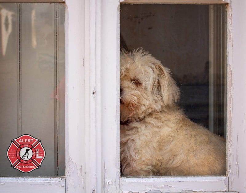 CLEVER SIGNS Pet Alert Sticker - Double-Sided 10 Decals  Rescue Pet Decals for Home Windows & Doors - UV Resistant & Waterproof  - Image 4