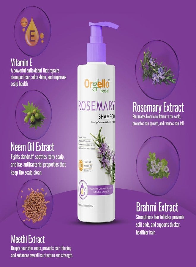 Orgello Herbal Rosemary Natural Shampoo - Gentle, Refreshing Formula for All Hair Types, Pack of 1-200ml - Image 5