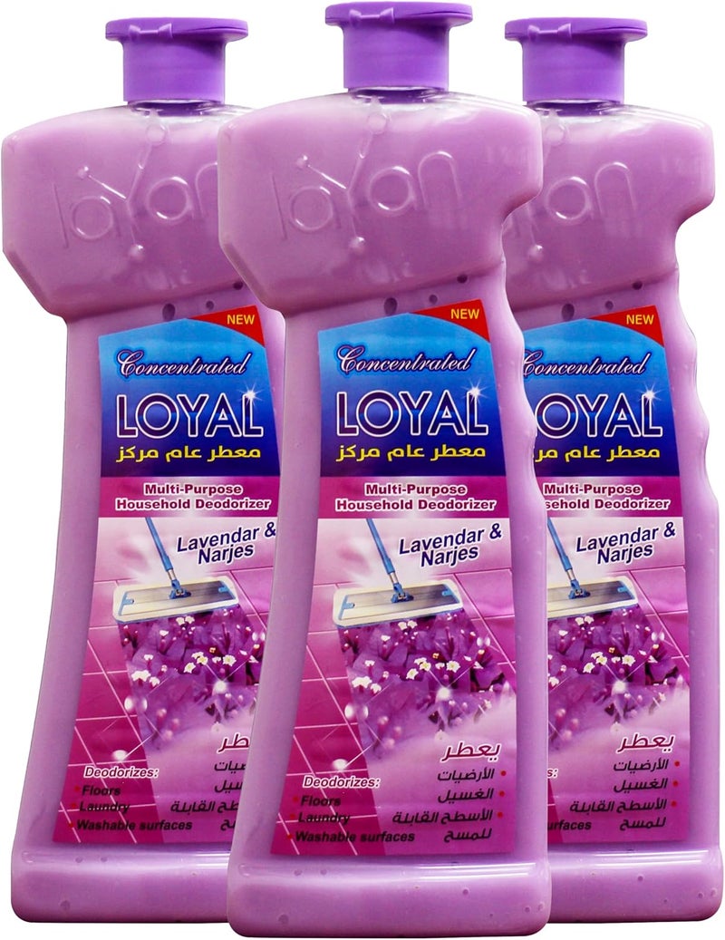 LOYAL Concentrated Multi-Purpose Household Deodorizer,floor cleaning with Lavender & Narjes, 700 ml X3, Pack of 3 combo - Image 1