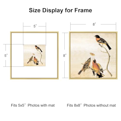 BKABOT 8x8 Picture Frame, Brass Metal Square Photo Frames with HD Glass, Fits 5x5 with Mat or 8 x 8 without Mat, Display for Wall and Table, 1 Pack - Image 2