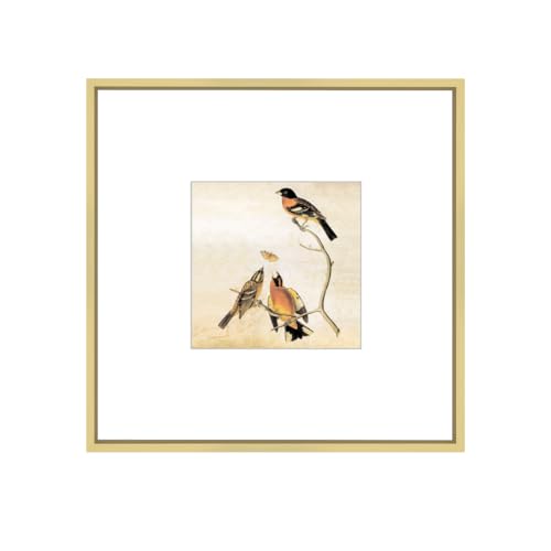 BKABOT 8x8 Picture Frame, Brass Metal Square Photo Frames with HD Glass, Fits 5x5 with Mat or 8 x 8 without Mat, Display for Wall and Table, 1 Pack - Image 1