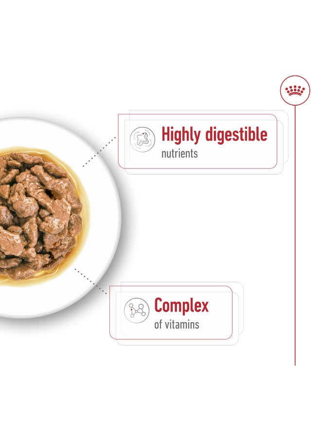 Royal Canin Wet Food Chunks in Gravy for Small Breed Adult Dogs 10+ Months & Up to 10kg, 12x85g - Image 5