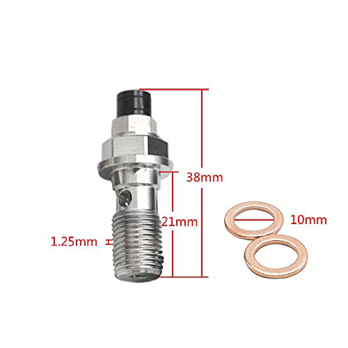 LE LEFOSSI Universal M10x1.25mm Stainless Steel Banjo Bolts Bleed Screw, Motorcycle Brake Master Cylinder Caliper Bleed Screw, Nipple Banjo - Image 2