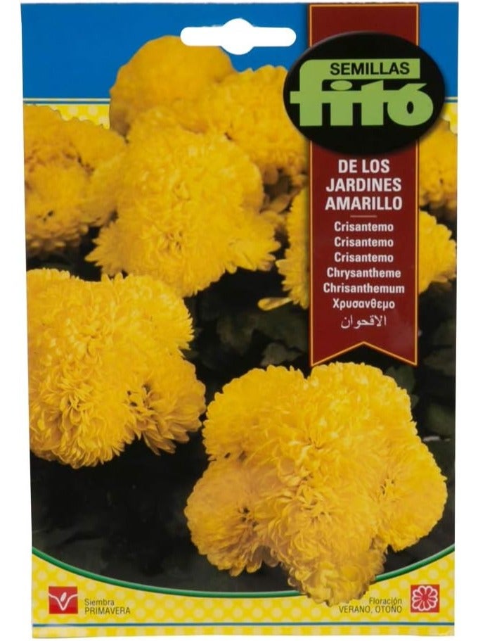 Fito Yellow Chrysanthemum Seeds for Planting, Premium Flower Seeds for Indoor & Outdoor Gardening, Bright Decorative Blooms, Easy to Grow Ornamental Flowers for Garden Balcony Pots & Landscaping