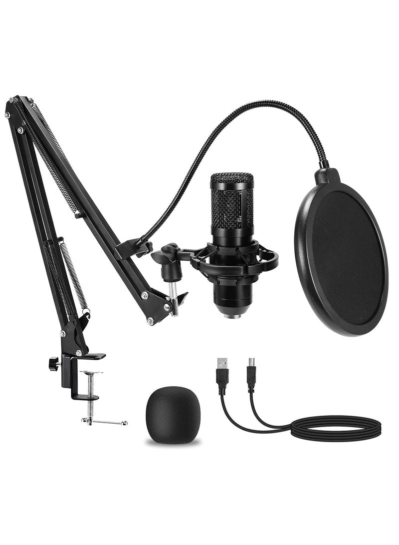 عربست ميكروفون مكثف USB، 192 كيلوهرتز/24 بت، مجموعة مايك استوديو قلبي مع بطاقة صوت، ذراع تثبيت، فلتر بوب، حامل مانع للصدمات، للكمبيوتر، سكايب، تسجيل يوتيوب - Image 1