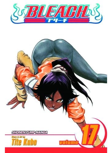Bleach Volume 17 
