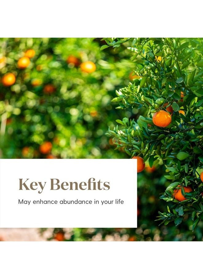 Young Living - Abundance 15ml Essential Oil by Young Living Essential Oils - Image 1