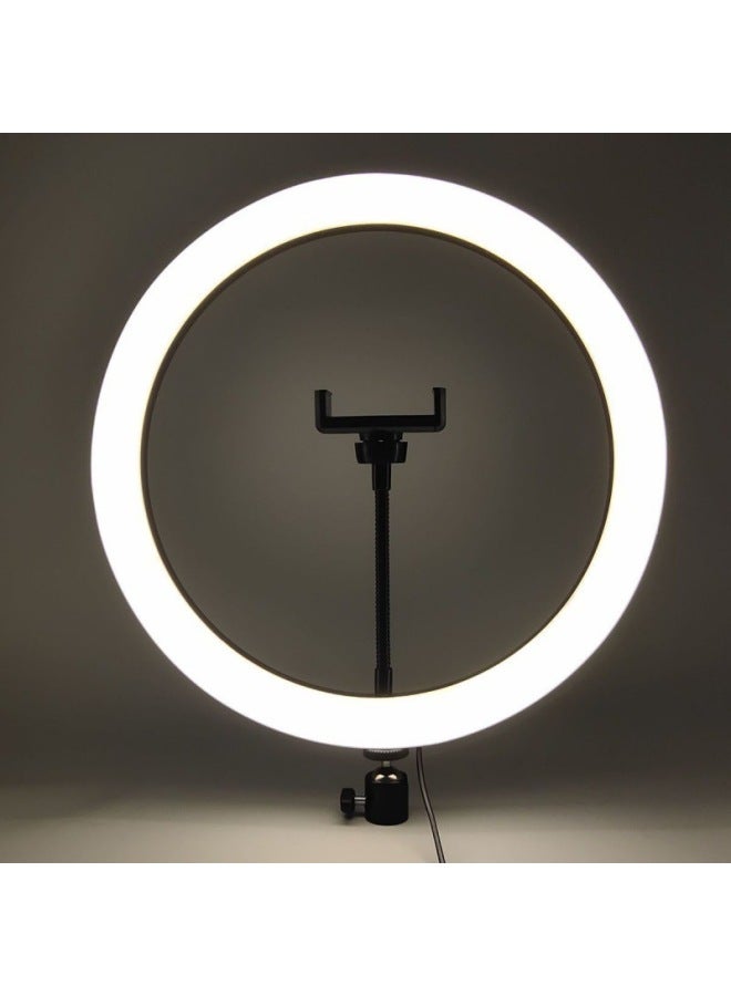 Net Red Beauty Live Light Photo Atmosphere Light Anchor Mobile Phone Light Live Light Anchor Special Skin Rejuvenation-Specification:13inch Lamp (33cm)-single Lamp;;  - Image 1