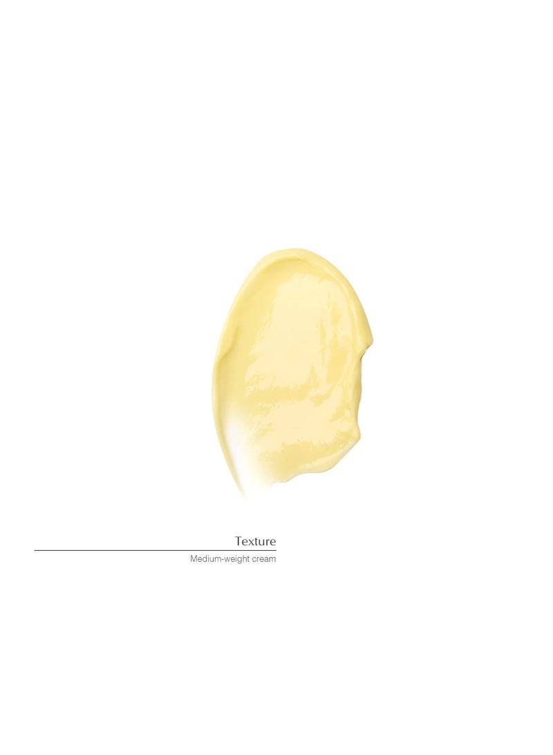 أيسوب كريم ترطيب الوجه من إيسوب بخلاصة الكاميليا 120 مل - Image 3