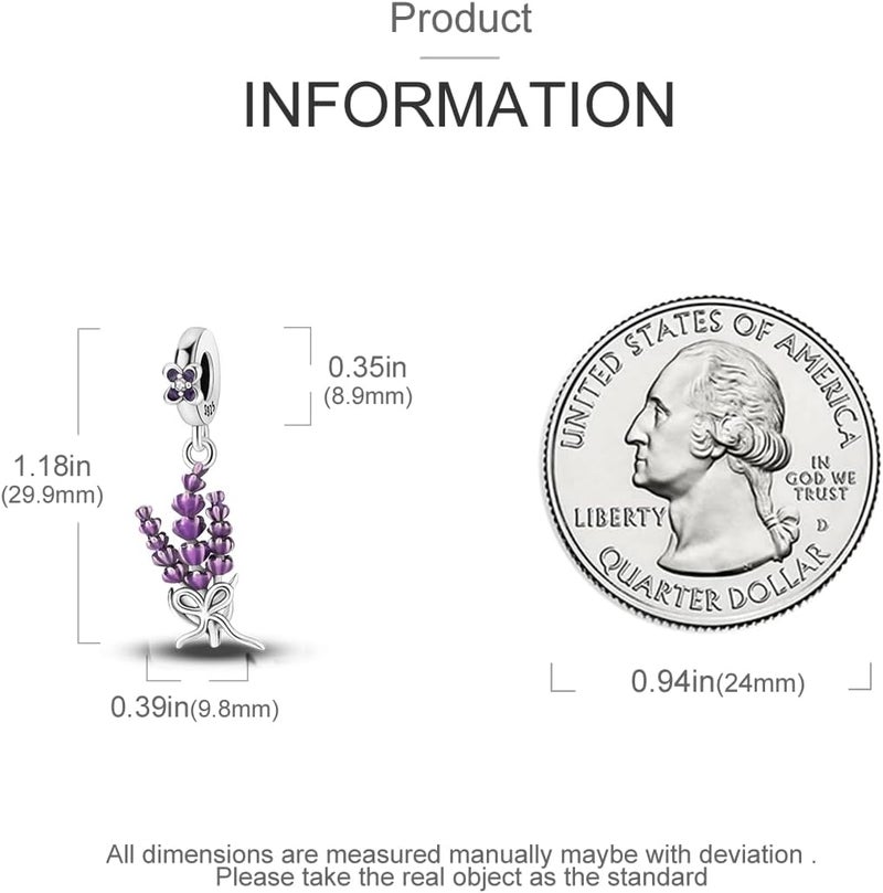 MULA 925 Sterling Silver Charms for Bracelets and Necklaces Airplane Passport Dangle Pendants Beads Butterfly Dragonfly Charms Jewelry Charm for Women - Image 3