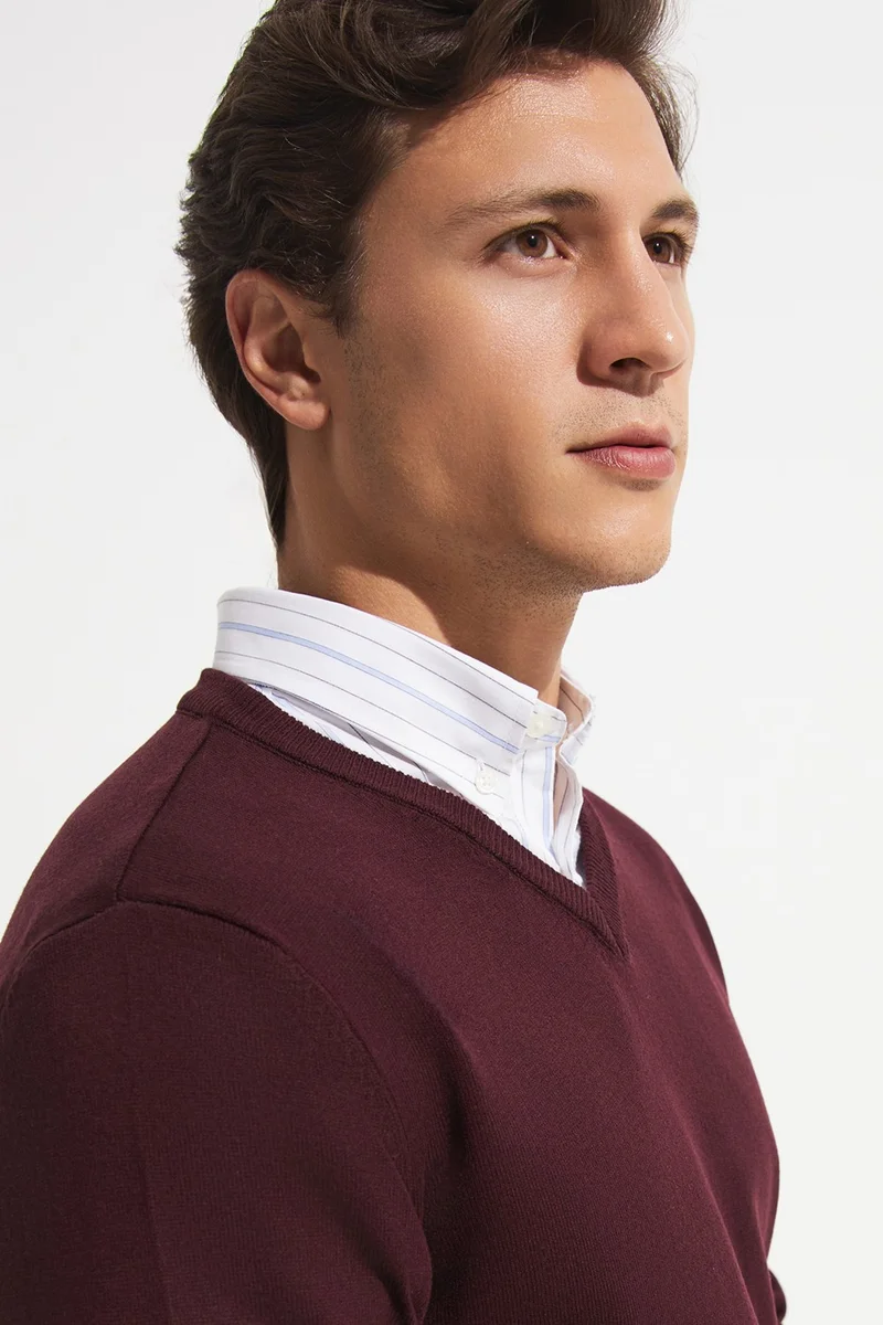 جون Men's Regular Fit V-Neck Knitwear Sweater