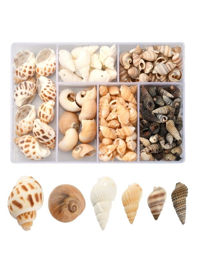OASIS-TH 160 PCS Open Back Natural Spiral Shell Beads, Spiral Conch Shells Charms, Beach Seashells Beads, Suitable For DIY Craft Jewelry Making, Home Or Wedding Decoration  - Image 1