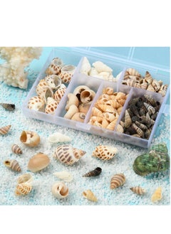 OASIS-TH 160 PCS Open Back Natural Spiral Shell Beads, Spiral Conch Shells Charms, Beach Seashells Beads, Suitable For DIY Craft Jewelry Making, Home Or Wedding Decoration  - Image 4