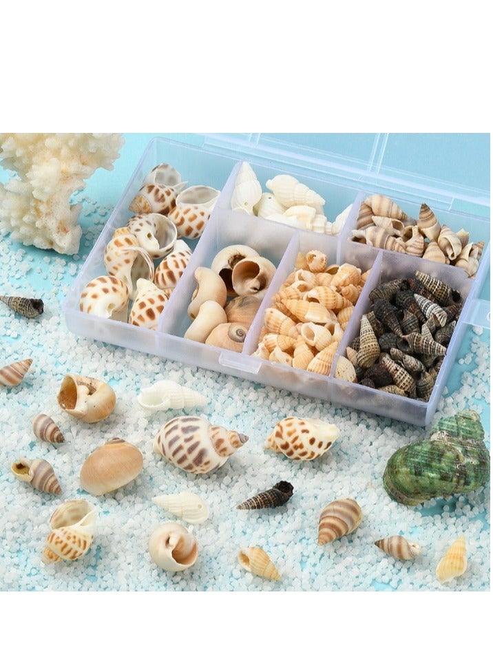 OASIS-TH 160 PCS Open Back Natural Spiral Shell Beads, Spiral Conch Shells Charms, Beach Seashells Beads, Suitable For DIY Craft Jewelry Making, Home Or Wedding Decoration  - Image 4