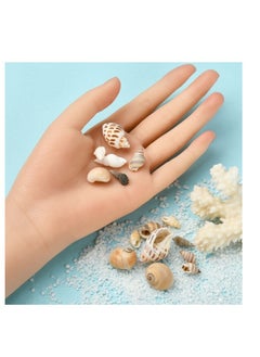OASIS-TH 160 PCS Open Back Natural Spiral Shell Beads, Spiral Conch Shells Charms, Beach Seashells Beads, Suitable For DIY Craft Jewelry Making, Home Or Wedding Decoration  - Image 5