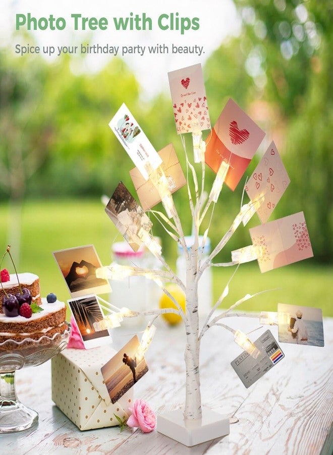 Homaisson Money Tree Gift Card Holder with 12 Clear Clips, Lighted Photo Cash Lottery Ticket Holder, Unique Desktop Home Decorations for Christmas, Memo, Birthday, Wedding, Graduation - Image 2