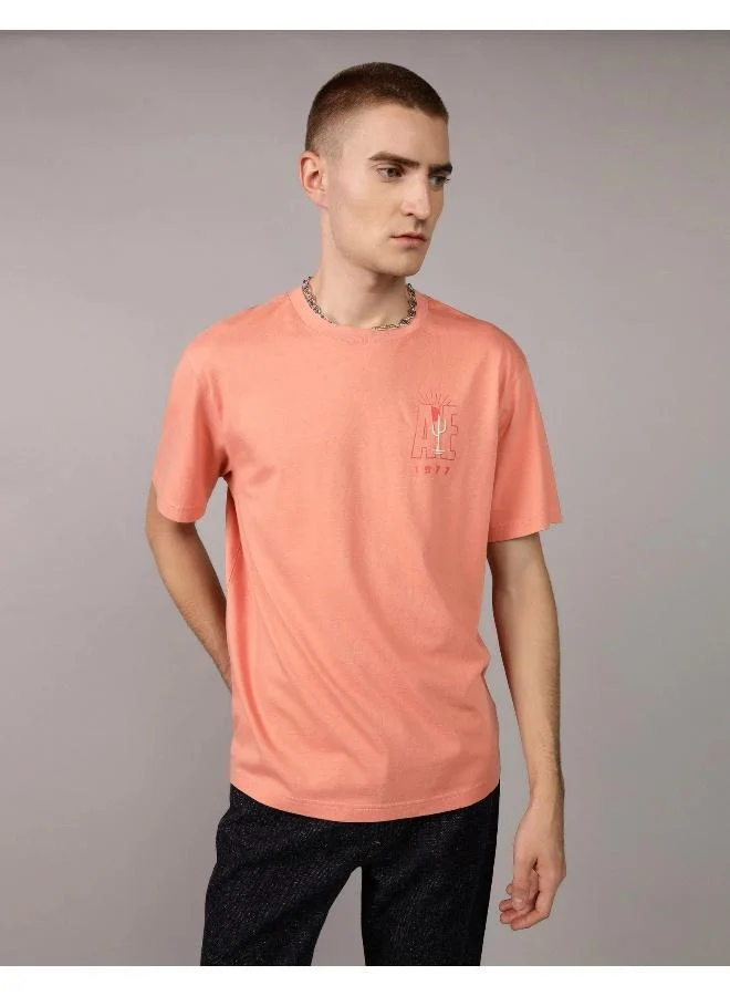 American Eagle Embroidered Crew Neck Graphic T-Shirt