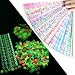 Hvogvok Luminous Origami Colorful Decorative Star Paper Strips DIY Origami Star Origami 540 Sheets - Image 2