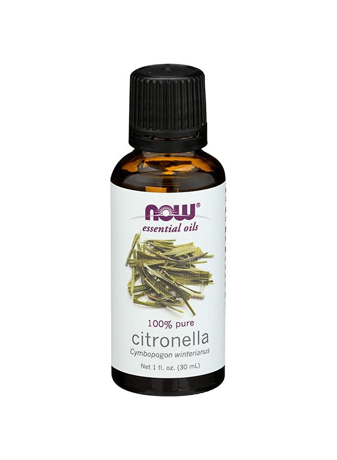 now Solutions Essential Oils Citronella Oil, 1 Fl. Oz. - Image 1
