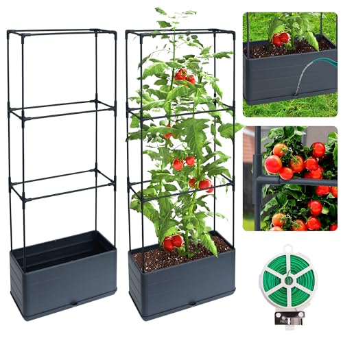 Biotolot 2 Packs Raised Garden Bed Tomato Planter Box with Trellis 434 SelfWatering Tomato Cage with Rectangular Trellis for Climbing Plants Flowers Vegetables Vine in Patio Garden Indoor Outdoor - Image 1