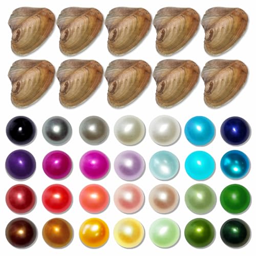 HENGSHENG 30PC Freshwater Pearl Love Wish Pearl Oyster with Round Pearl Inside Meaningful Color Cultured Oyster Pearls Beads for Jewelry Making Crafts Gifts(5.5-7.5mm, 30 PCS/Lot) - Image 1