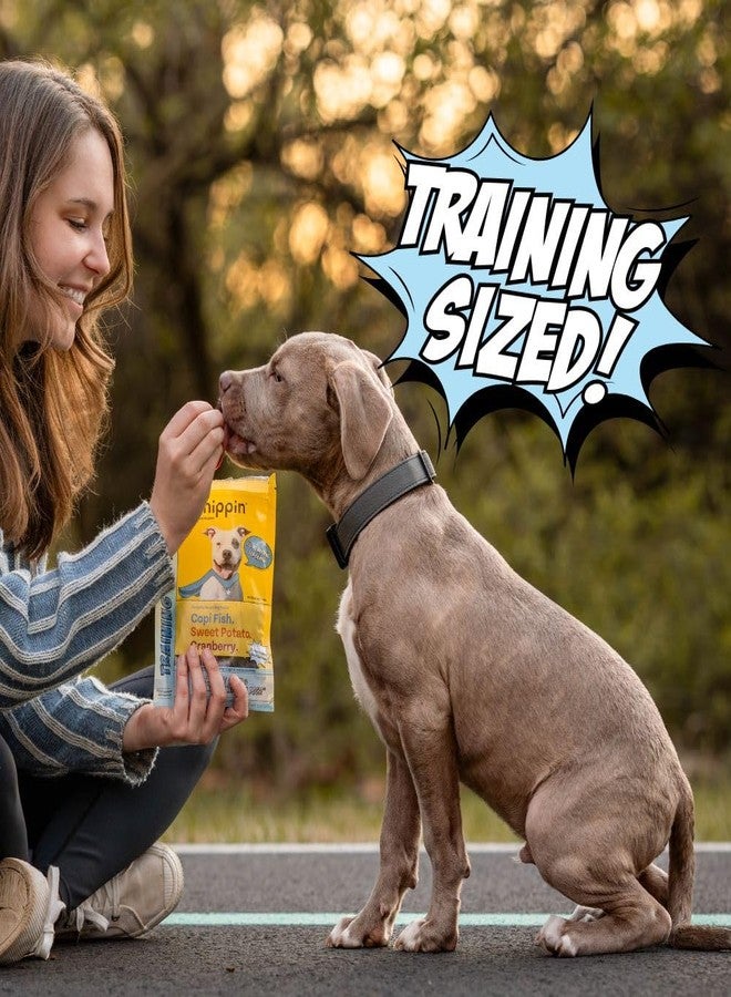 Chippin Soft Dog Treats, Healthy Dog Treats with Fish, Sweet Potato, Grain Free, Natural Ingredients, Hypoallergenic, High Protein Training Treats for Small, Large, Senior Dogs, No Meat - Image 4