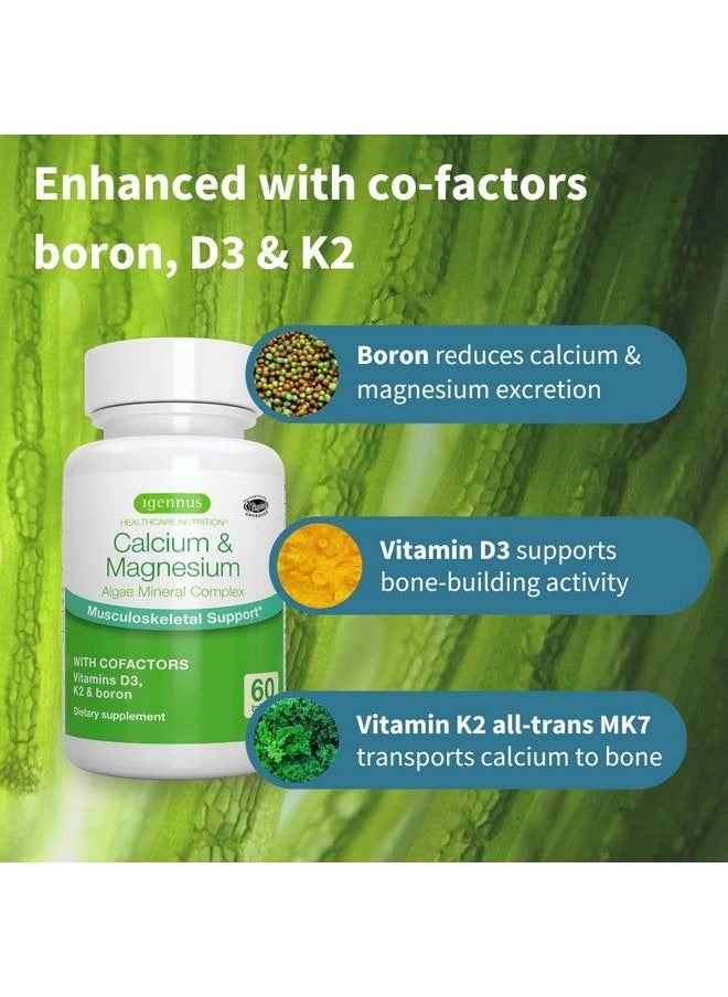 Igennus Healthcare Nutrition - Plant Based Algae Calcium & Magnesium Supplement K2 & D3 Nongmo Red Algae Mineral Complex For Bone & Teeth Support High Absorption Formula With Boron Vegan 60 Tablets By Igennus - Image 1