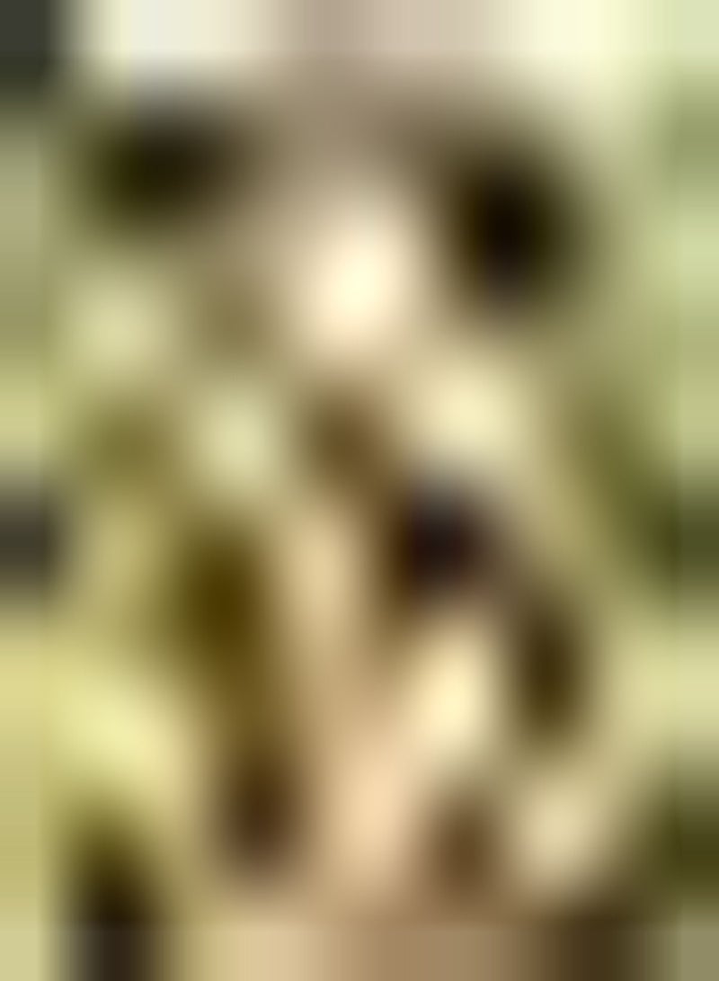 GGOOT 20pcs Peanut Seeds Suitable for Friends Who Like to Plant Easy to Grow and Sow Small Difficulty Planting Good Ecological Effects - Image 2