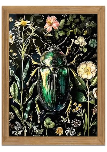 Framed Vintage 3D Textured Wall Art  Gothic Dark College Beetle Wall Decor  Hand Drawn Sandstone Nature Botanical Pictures for Living Room Bedroom Home Decor 12x16in