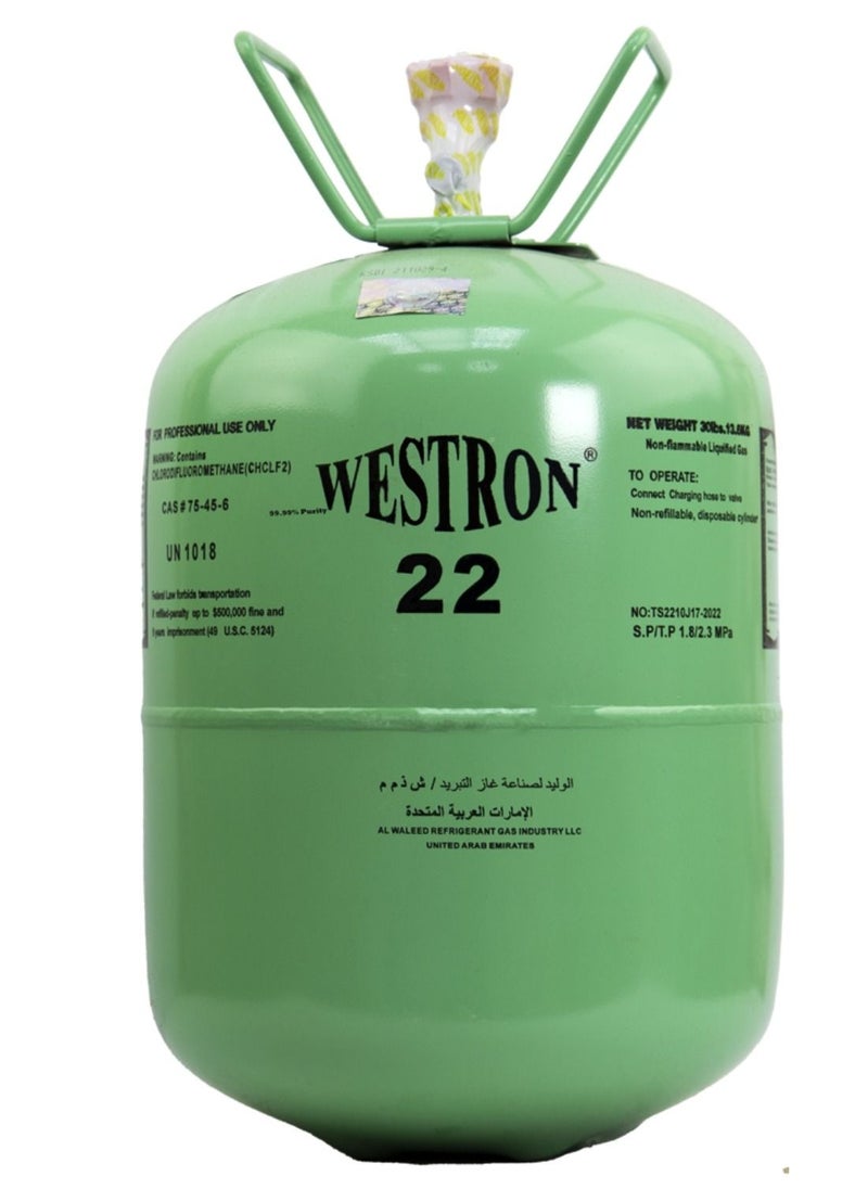 ويسترون - ويسترون R22 غاز التبريد - Image 1