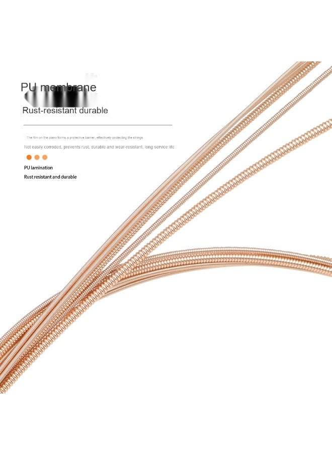 Generic - IRIN R12 12-String Acoustic Guitar Strings – Premium Quality for Folk Guitar - Image 1