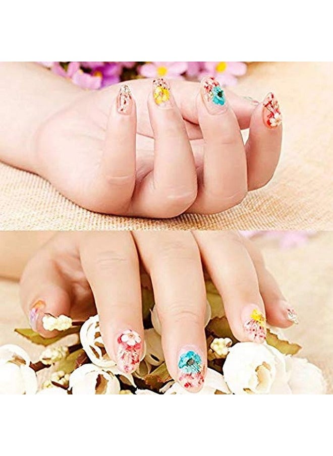 Rosponse Valuu 3D Nail Dried Flowers Sticker，60 Five Petal Flower 12 Colors Natural Real Dry Flower Nail Stickers （60 Flowers）  - Image 5